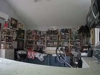 voyeurcam bridgetleewalters 02